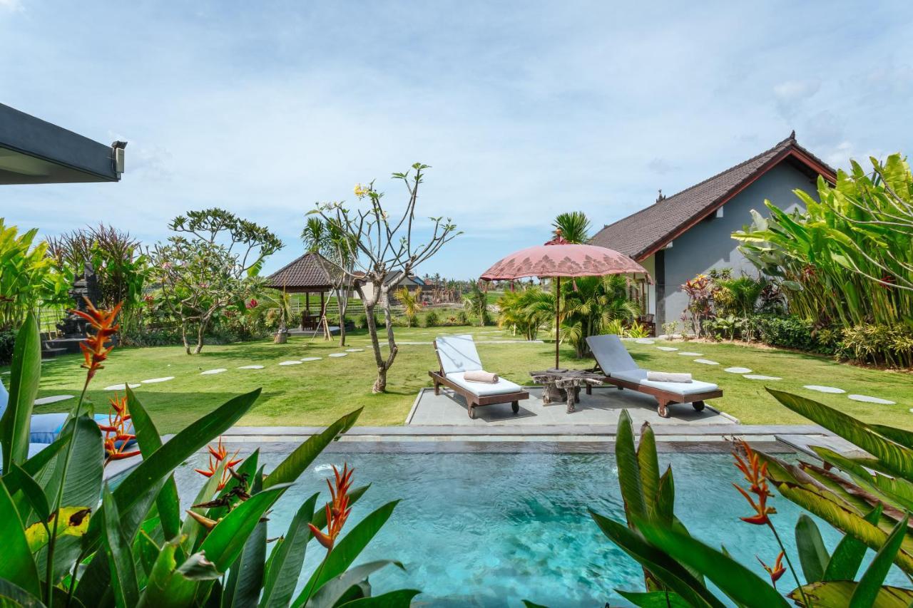 Carik Bali Guest House Canggu Esterno foto